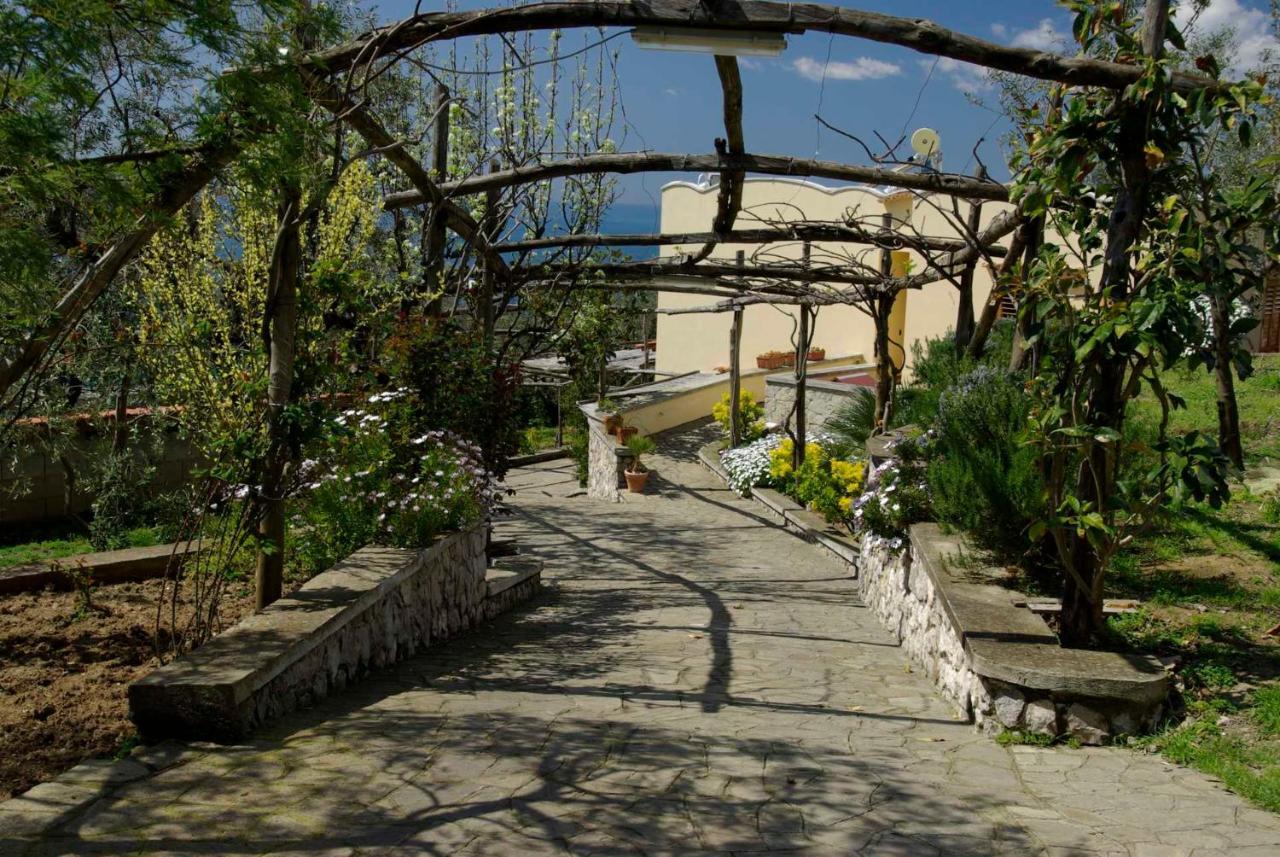 Villa Romantica 马萨鲁布朗斯 外观 照片