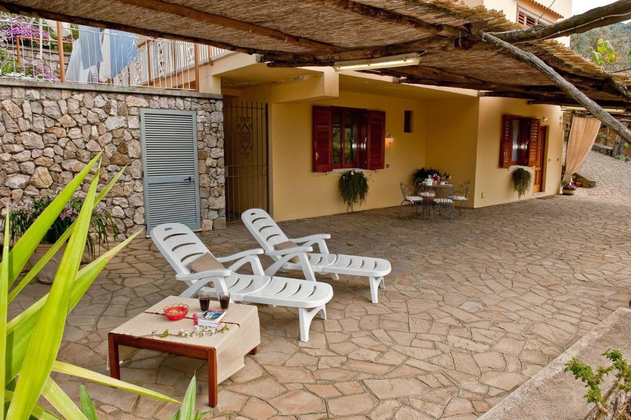 Villa Romantica 马萨鲁布朗斯 外观 照片
