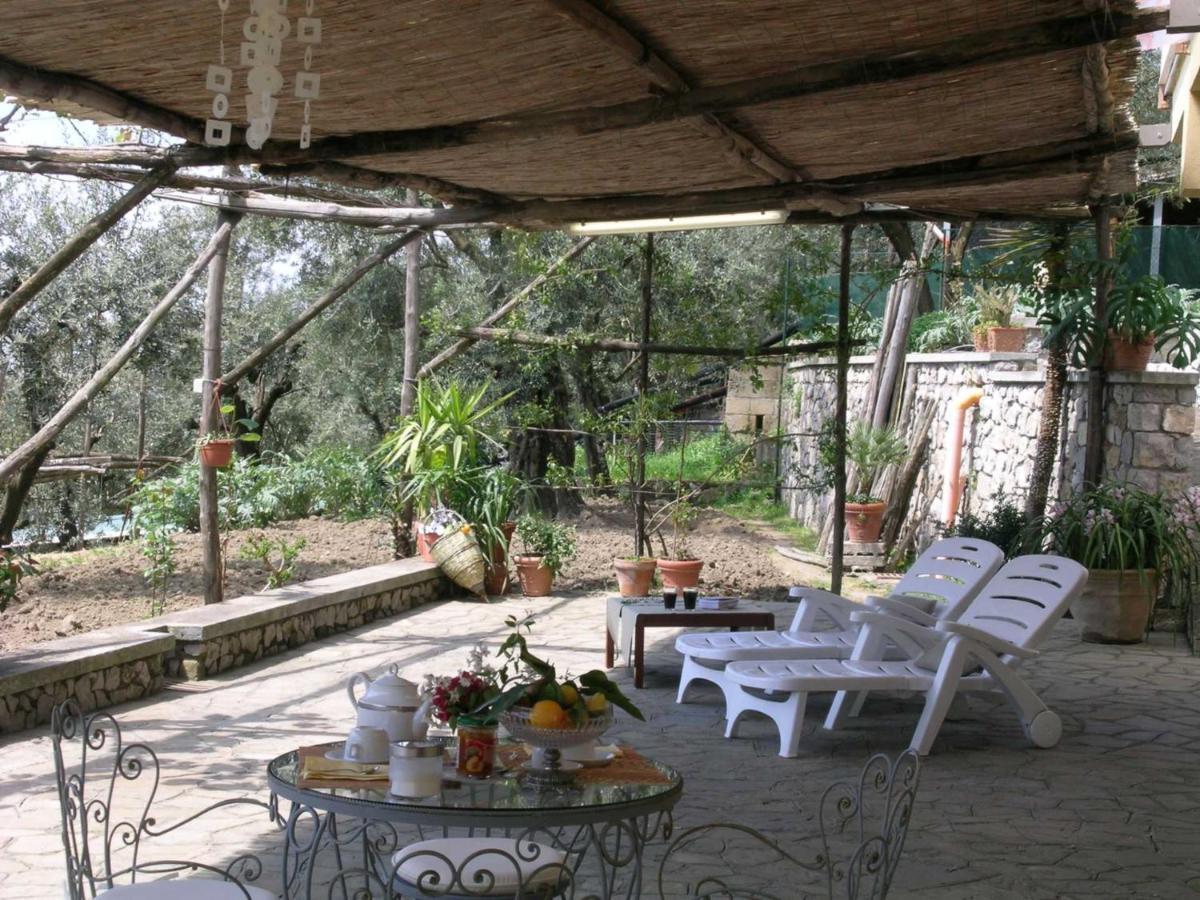 Villa Romantica 马萨鲁布朗斯 外观 照片